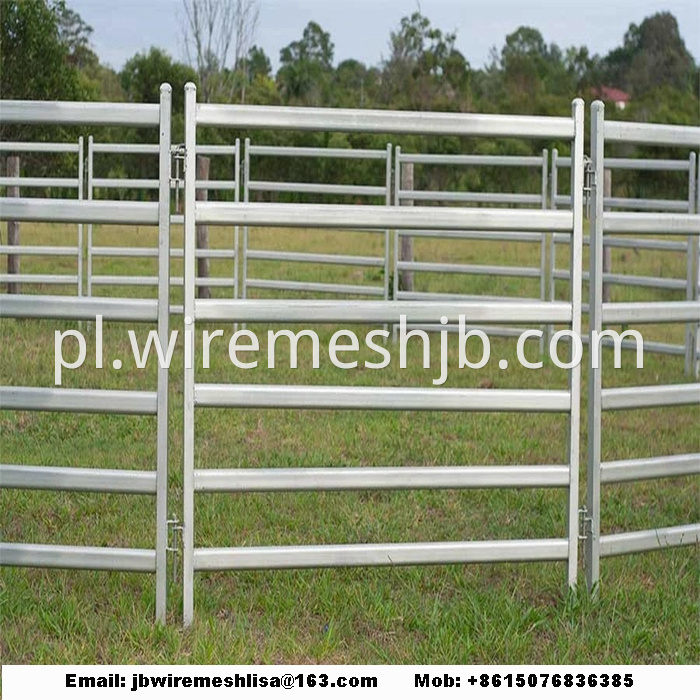 Hot Dipped Galvanized Metal Horse Fence